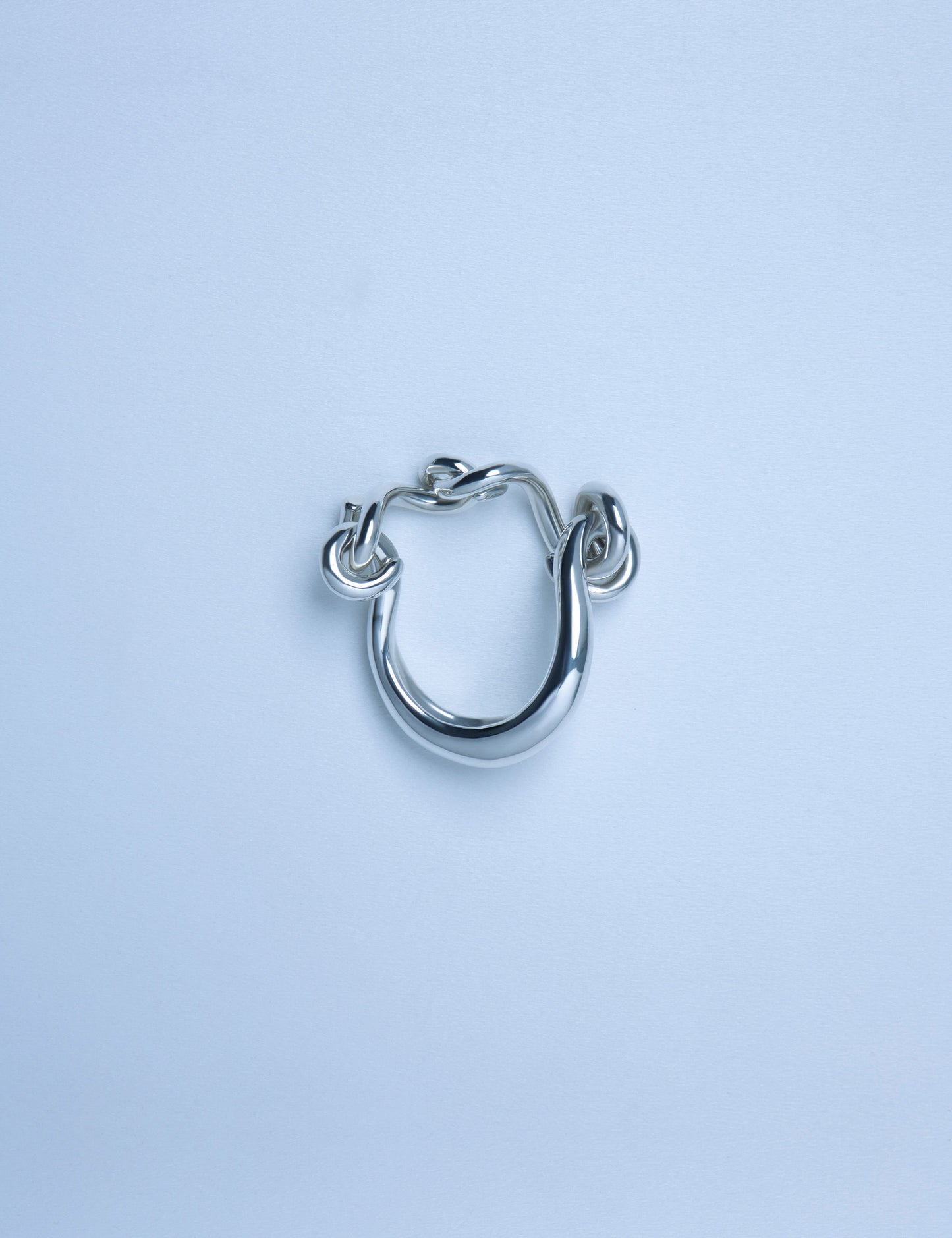 WORM CHAIN RING